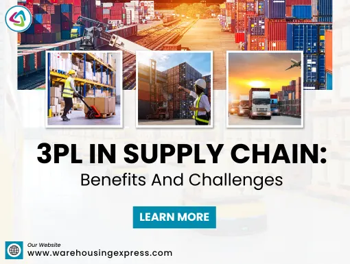 3PL in Supply Chain Management?