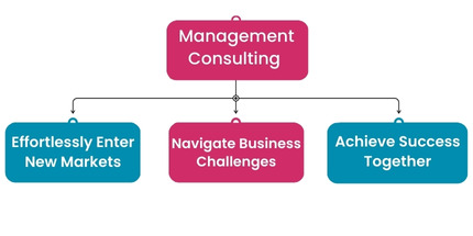 A Broad Range of Business Consulting Services